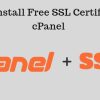 Free SSL