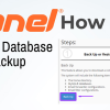 Database Backup